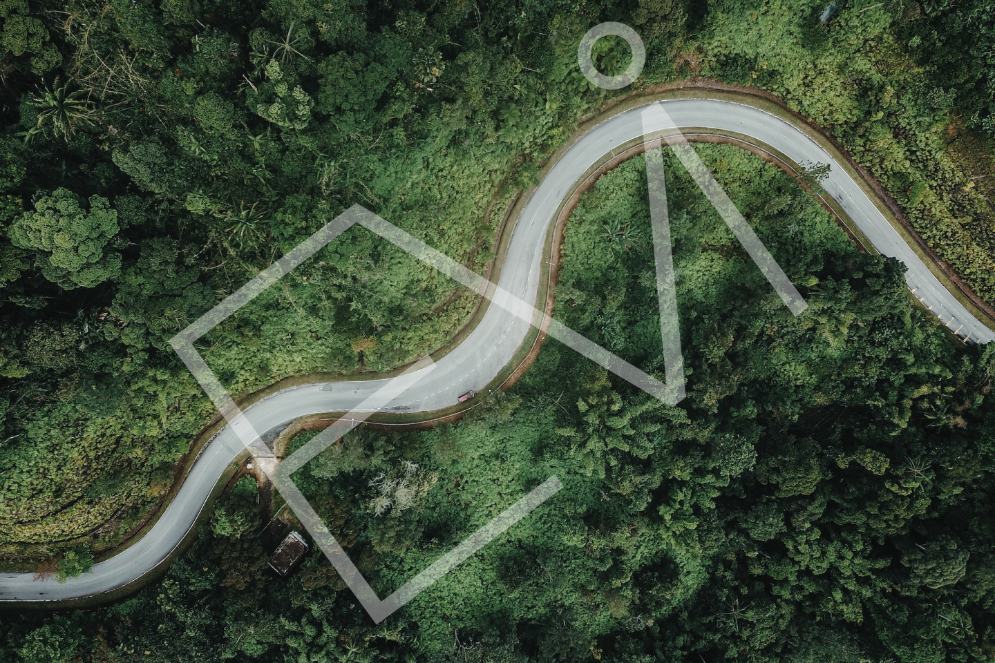 logo designer vienna